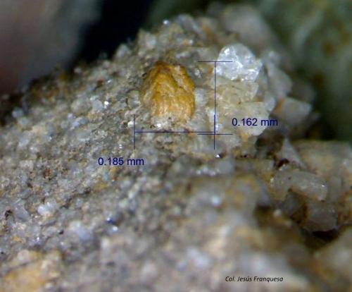 Titanita.<br />Adra outcrops, Adra , Comarca Poniente Almeriense, Almería, Andalusia, Spain<br />0´185 x 0´162 mm.<br /> (Autor: Jesus Franquesa Baucells)