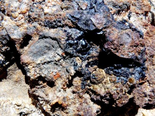 Goethite in situ. (Author: Pierre Joubert)