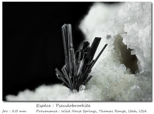 Pseudobrookite<br />Thomas Range, Juab County, Utah, USA<br />fov 5 mm<br /> (Author: ploum)