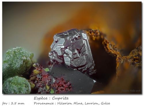 Cuprite<br />Hilarion Mine, Hilarion area, Kamariza Mines, Agios Konstantinos, Lavrion Mining District, Attikí (Attica) Prefecture, Greece<br />fov 2.5 mm<br /> (Author: ploum)