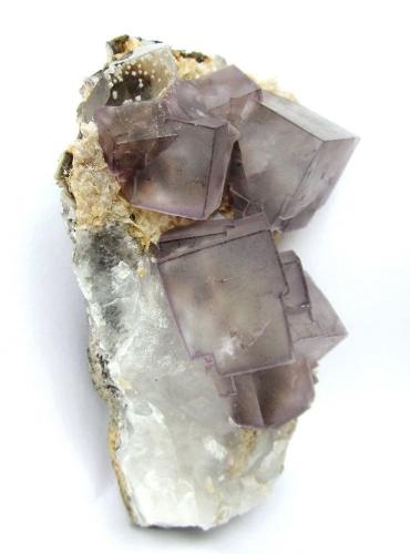 Fluorite, Quartz, Siderite<br />Yaogangxian Mine, Yizhang, Chenzhou Prefecture, Hunan Province, China<br />Specimen height 10 cm, largest fluorite 2,5 cm<br /> (Author: Tobi)