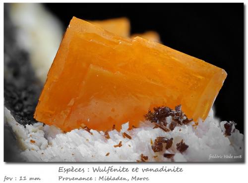 Wulfenite and Vanadinite<br />Mibladen (Mibladen mining district), Midelt, Midelt Province, Drâa-Tafilalet Region, Morocco<br />fov 11 mm<br /> (Author: ploum)