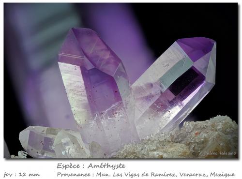 Quartz (variety amethyst)<br />Veracruz (Veracruz de Ignacio de la Llave), Mexico<br />fov 12 mm<br /> (Author: ploum)