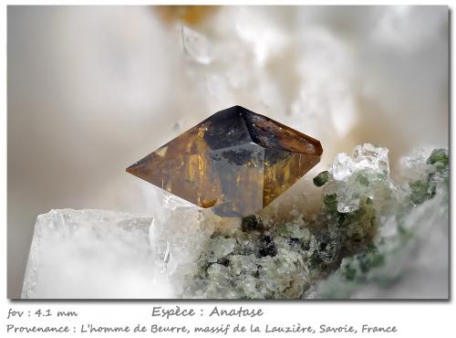 Anatase<br />L'Homme de Beurre, Macizo La Lauzière, Saint-Jean-de-Maurienne, Saboya, Auvergne-Rhône-Alpes, Francia<br />fov 4.1 mm<br /> (Author: ploum)