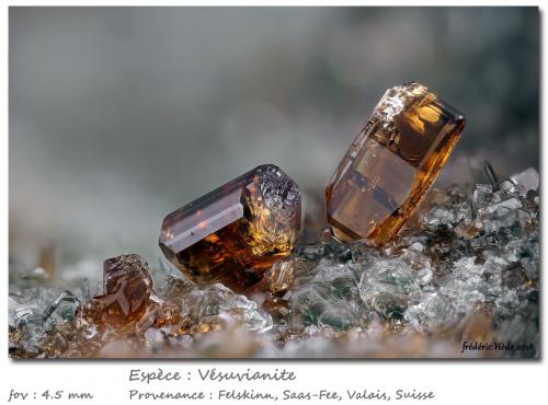 Vesuvianite<br />Felskinn, Glaciar Fee, Saas Fee, Valle Saas, Zermatt - Saas Fee, Wallis (Valais), Suiza<br />fov 4.5 mm<br /> (Author: ploum)