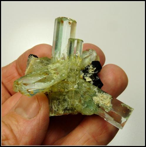 Beryl (variety aquamarine) with schorl<br />Erongo Mountain, Usakos, Erongo Region, Namibia<br />60 x 50 x 47 mm<br /> (Author: Pierre Joubert)