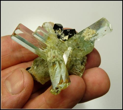 Beryl (variety aquamarine) with schorl<br />Erongo Mountain, Usakos, Erongo Region, Namibia<br />60 x 50 x 47 mm<br /> (Author: Pierre Joubert)