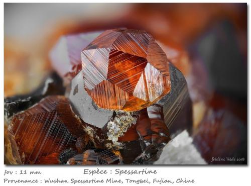 Spessartine<br />Catas Spessartina Wushan, Tongbei, Yunxiao, Prefectura Zhangzhou, Provincia Fujian, China<br />fov 11 mm<br /> (Author: ploum)