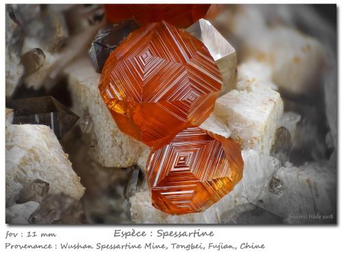 Spessartine<br />Catas Spessartina Wushan, Tongbei, Yunxiao, Prefectura Zhangzhou, Provincia Fujian, China<br />fov 11 mm<br /> (Author: ploum)