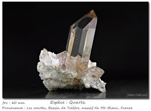 Quartz (variety smoky)<br />Les Courtes, Bassin du Talèfre, Mont Blanc, Chamonix, Haute-Savoie, Auvergne-Rhône-Alpes, Francia<br />fov 60 mm<br /> (Author: ploum)