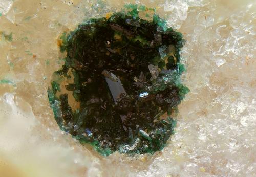Atacamita<br />Mina La Milagrosa, Rodalquilar, Níjar, Comarca Metropolitana de Almería, Almería, Andalucía, España<br />Campo de visión de 3 mm<br /> (Autor: Antonio Carmona)