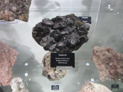 Galena<br />Aurora Mine, Niederroßbach, Haiger, Lahn-Dill-Kreis, Gießen Region, Hesse/Hessen, Germany<br />Specimen size 9 cm<br /> (Author: Tobi)