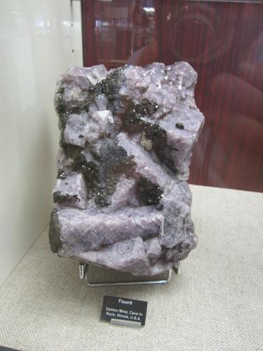Fluorite, Sphalerite<br />Denton Mine, Goose Creek Mine group, Harris Creek Sub-District, Hardin County, Illinois, USA<br />Specimen size 22 cm<br /> (Author: Tobi)