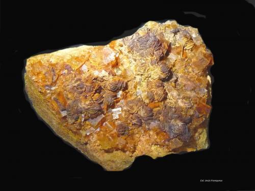 Fluorita y Barita.<br />Mina María Magdalena (Mina Santiago), calicata 'de l´Alzina', Lo Fangar (Els Solans), Ulldemolins, Comarca Priorat, Tarragona, Cataluña / Catalunya, España<br />59x46 mm.<br /> (Autor: Jesus Franquesa Baucells)
