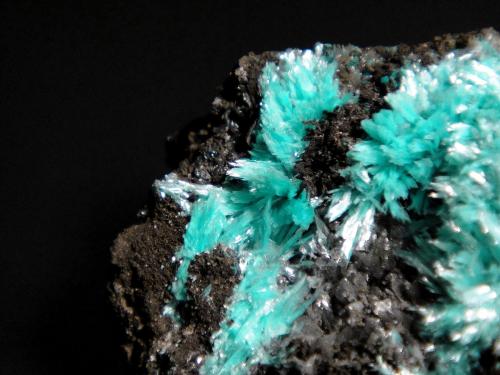 Auricalcita<br />Mina 79, Chilito, Zona Hayden, Distrito Banner, Montes Dripping Spring, Condado Gila, Arizona, USA<br />Campo de visión 1,5 cm.<br /> (Autor: Antonio P. López)