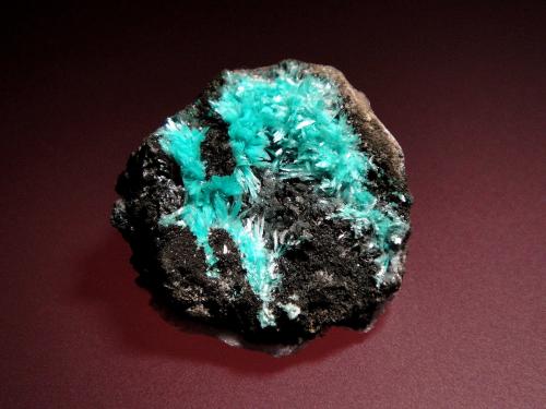 Auricalcita<br />Mina 79, Chilito, Zona Hayden, Distrito Banner, Montes Dripping Spring, Condado Gila, Arizona, USA<br />3 x 3 cm.<br /> (Autor: Antonio P. López)