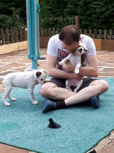 My love for dogs in one picture: Me playing with some of the puppies from my parents’ last litter in 2017 (Author: Tobi)