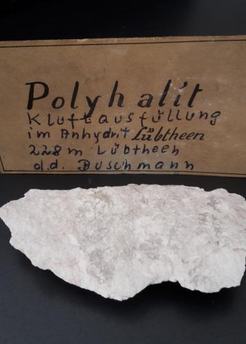 Polyhalite<br />Mina Jessenitz, Lübtheen, Ludwigslust-Parchim, Mecklemburgo-Pomerania Occidental, Alemania<br />9 x 5 cm<br /> (Author: Andreas Gerstenberg)
