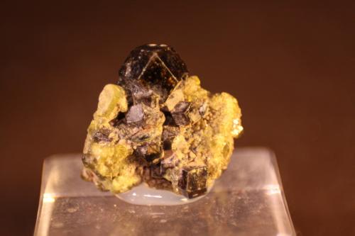 Andradite<br />Marki Khel, Spin Ghar Mountains, Khogyani District, Nangarhar Province, Afghanistan<br />24mm x 22mm x 16mm<br /> (Author: franjungle)