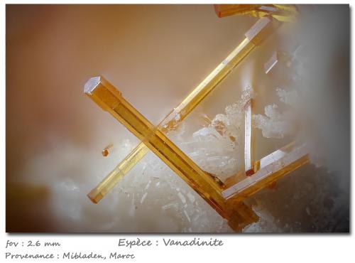 Vanadinite<br />Mibladen (Mibladen mining district), Midelt, Midelt Province, Drâa-Tafilalet Region, Morocco<br />fov 2.6 mm<br /> (Author: ploum)