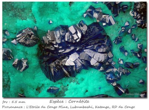 Cornetite<br />L'Etoile du Congo Mine (Star of the Congo Mine), Lubumbashi (Elizabethville), Katanga Copper Crescent, Haut-Katanga (Shaba), Democratic Republic of the Congo (Zaire)<br />fov 5.5 mm<br /> (Author: ploum)