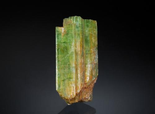 Tremolite (variety chrome tremolite)<br />Harcourt, Condado Haliburton, Ontario, Canadá<br />1.4 x 2.8 cm<br /> (Author: crosstimber)