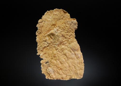 Tremolite (variety mountain leather)<br />Afloramientos en carretera 7, New Ashford, Condado Berkshire, Massachusetts, USA<br />4.5 x 7.3 cm<br /> (Author: crosstimber)