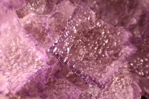 Fluorite<br />Esperanza Mine, Melchor Múzquiz, Municipio Melchor Múzquiz, Coahuila (Coahuila de Zaragoza), Mexico<br />95mm x 74mm x 43mm<br /> (Author: franjungle)