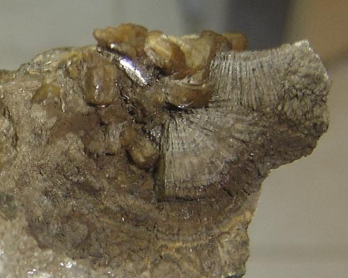 Stellerita (Estellerita) y Calcita<br />Monte Bérico, Caxias do Sul, Nordeste Rio-grandense, Rio Grande do Sul, Brazil<br />6 x 6 x 4 cm<br /> (Autor: Anisio Claudio)