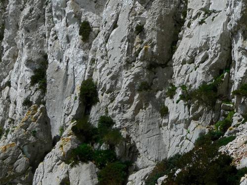 No sé si con la resolución de la foto que admite el foro podréis verlos pero en la parte baja del centro de la imagen hay un par de monos salvajes. Vimos docenas de ellos, siempre en la base de las paredes de roca. (Autor: Josele)