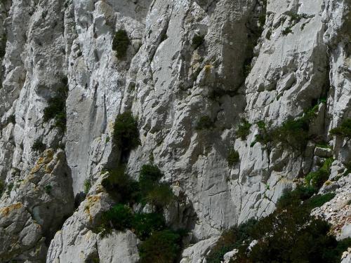 No sé si con la resolución de la foto que admite el foro podréis verlos pero en la parte baja del centro de la imagen hay un par de monos salvajes. Vimos docenas de ellos, siempre en la base de las paredes de roca. (Autor: Josele)