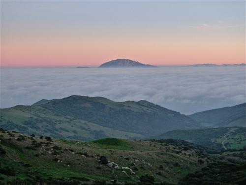 El Djebel Musa asomando sobre un mar de nubes cubriendo el Estrecho sin una brizna de viento, fenómeno poco frecuente por estos lares. Lo normal es lo contrario, con el habitual viento de levante y tiempo despejado, las cumbres de esta y de otras montañas de la zona suelen llevar puesto un sombrero de nubes deshilachadas -las barbas del levante.
La precipitación media anual es de unos 600 mm a nivel del mar y el gradiente pluviométrico de 30 mm/100 m o sea que en la cumbre caen unos 850 mm, buena parte de los cuales (se estima un 45%) se infiltran directamente al acuífero gracias a la escasa vegetación, la estratificación vertical y la fracturación. Al acuífero del conjunto calizo del Djebel Musa, desconectado de otros acuíferos de la sierra colindante al sur por materiales impermeables, se le calculan unos recursos hídricos renovables de 3 Hm3/año. (Autor: Josele)