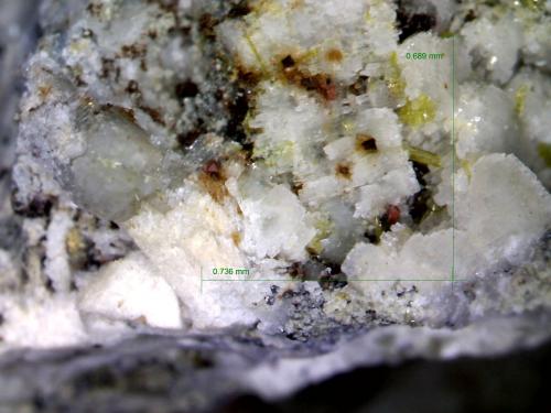 Zircón y Magnetita.<br />Los Arenales Quarry, Monte La Rocha de Piquer, Torás, Comarca Alto Palancia, Castellón / Castelló, Valencian Community / Comunitat Valenciana, Spain<br />0´736 x 0´689 mm.<br /> (Autor: Jesus Franquesa Baucells)