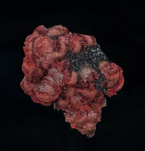 Rhodochrosite, Manganite<br />Zona minera N'Chwaning, Kuruman, Kalahari manganese field (KMF), Provincia Septentrional del Cabo, Sudáfrica<br />5.8 x 4.8 cm<br /> (Author: am mizunaka)