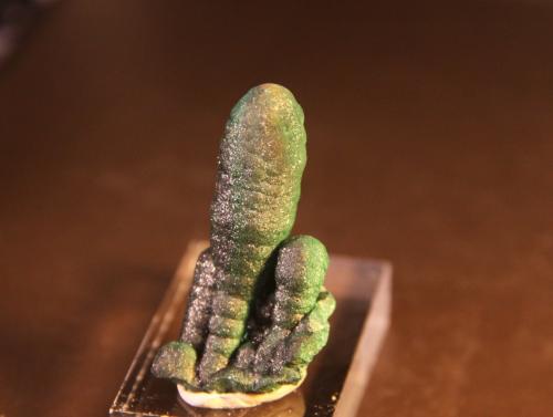 Malachite<br />Katanga (Shaba), Democratic Republic of the Congo (Zaire)<br />21mm x 43mm x 17mm<br /> (Author: franjungle)