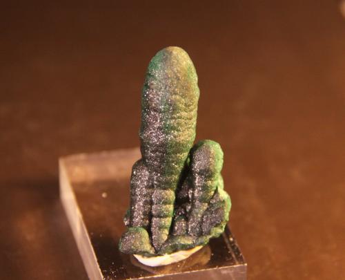 Malachite<br />Katanga (Shaba), Democratic Republic of the Congo (Zaire)<br />21mm x 43mm x 17mm<br /> (Author: franjungle)