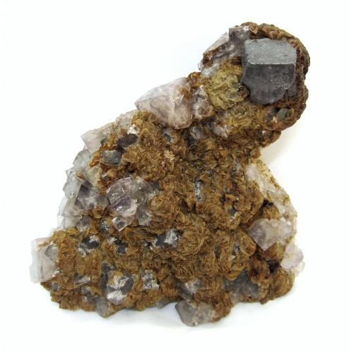 Siderite, Galena, Fluorite<br />Mina Boltsburn, Distrito Rookhope, Weardale, North Pennines Orefield, County Durham, Inglaterra / Reino Unido<br />Specimen size 11 cm, largest galena 18 mm, largest fluorite 18 mm<br /> (Author: Tobi)