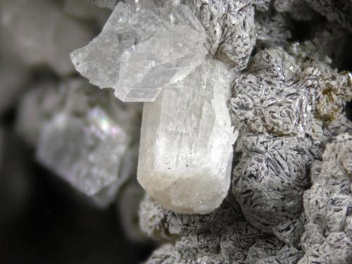 Johnbaumite and Olshanskyite<br />Mina Shijiangshan, Aldea Shijiangshan, Yinwu, Linxi, Ulanhad League, Región Autónoma Mongolia Interior, China<br />FOV 9 mm<br /> (Author: Cesar M. Salvan)