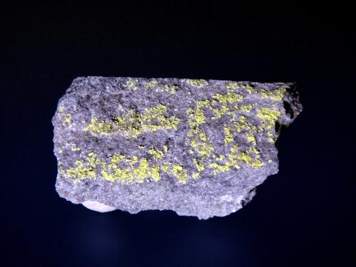 Cejkaita<br />Mina Eureka, Castell-estaó, La Torre de Cabdella, Comarca Pallars Jussà, Lérida / Lleida, Cataluña / Catalunya, España<br />5 x 2,5 cm.<br /> (Autor: Antonio P. López)