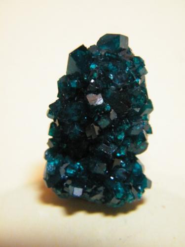 Dioptase<br />Tsumeb Mine, Tsumeb, Otjikoto Region, Namibia<br />16mm x 27mm x 10mm<br /> (Author: Heimo Hellwig)