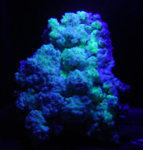 Ópalo (variedad hialita)<br />Monte Bérico, Caxias do Sul, Nordeste Rio-grandense, Rio Grande do Sul, Brazil<br />14 x 11 x 4 cm<br /> (Autor: Anisio Claudio)