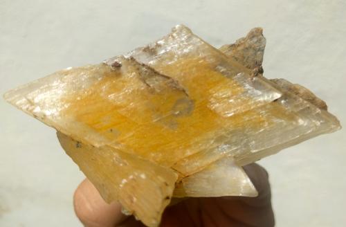 Yeso<br />Gloria Mine, Sierra Minera de Cartagena-La Unión, Portmán, La Unión, Comarca Campo de Cartagena, Region of Murcia (Murcia), Spain<br />9,3 x 4,4 cm.<br /> (Autor: Carles)