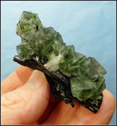 Fluorite with Schorl<br />Erongo Region, Namibia<br />68 x 32 x 28 mm<br /> (Author: Pierre Joubert)