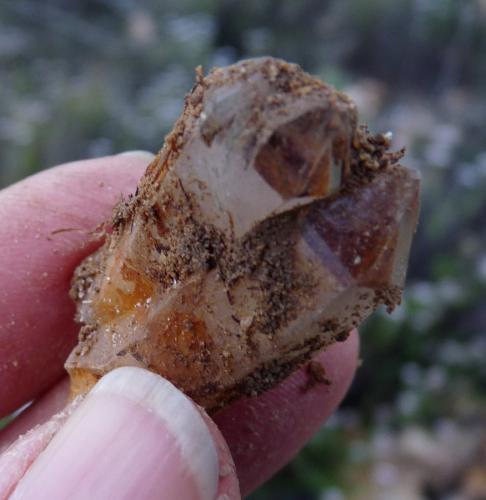 Quartz<br />Ceres, Warmbokkeveld Valley, Ceres, Valle Warmbokkeveld, Witzenberg, Cape Winelands, Provincia Occidental del Cabo, Sudáfrica<br /><br /> (Author: Pierre Joubert)