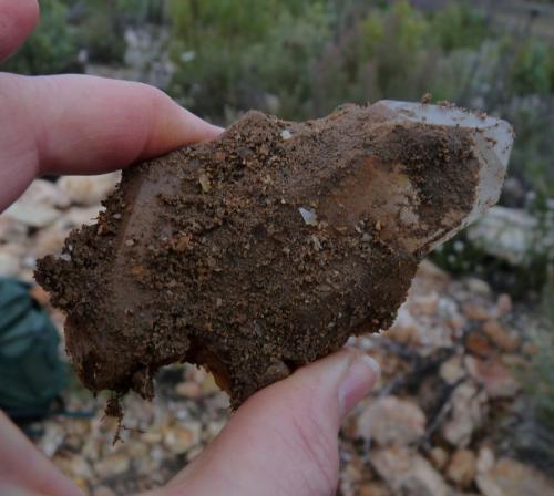 Quartz<br />Ceres, Warmbokkeveld Valley, Ceres, Valle Warmbokkeveld, Witzenberg, Cape Winelands, Provincia Occidental del Cabo, Sudáfrica<br /><br /> (Author: Pierre Joubert)