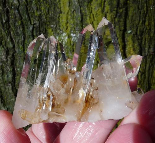 Quartz<br />Ceres, Warmbokkeveld Valley, Ceres, Valle Warmbokkeveld, Witzenberg, Cape Winelands, Western Cape Province, South Africa<br />57 x 35 x 33 mm<br /> (Author: Pierre Joubert)