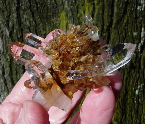 Quartz<br />Ceres, Warmbokkeveld Valley, Ceres, Valle Warmbokkeveld, Witzenberg, Cape Winelands, Western Cape Province, South Africa<br />61 x 48 x 27 mm<br /> (Author: Pierre Joubert)