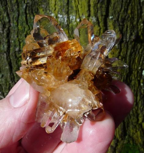 Quartz<br />Ceres, Warmbokkeveld Valley, Ceres, Valle Warmbokkeveld, Witzenberg, Cape Winelands, Provincia Occidental del Cabo, Sudáfrica<br />54 x 50 x 36 mm<br /> (Author: Pierre Joubert)