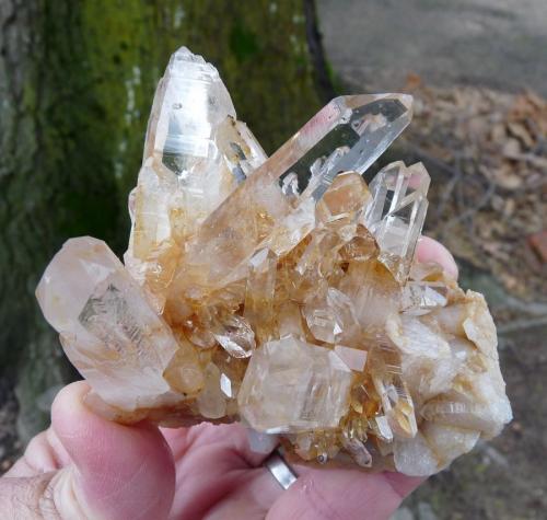 Quartz<br />Ceres, Warmbokkeveld Valley, Ceres, Valle Warmbokkeveld, Witzenberg, Cape Winelands, Western Cape Province, South Africa<br />85 x 78 x 73 mm<br /> (Author: Pierre Joubert)