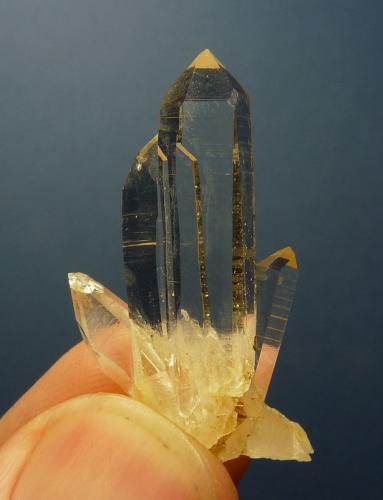 Quartz<br />Ceres, Warmbokkeveld Valley, Ceres, Valle Warmbokkeveld, Witzenberg, Cape Winelands, Provincia Occidental del Cabo, Sudáfrica<br />33 x 18 x 08 mm<br /> (Author: Pierre Joubert)